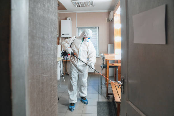 Mold Remediation for Rental Properties in West Sayville, NY