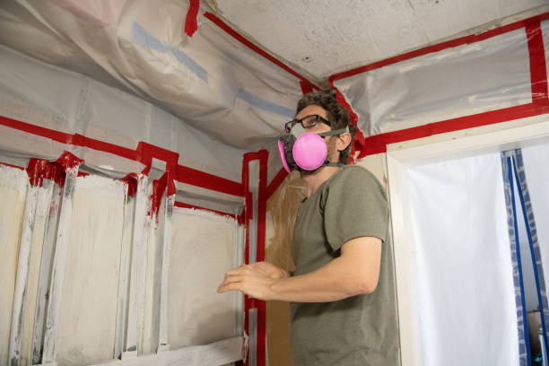 Best Asbestos and Lead Testing During Mold Inspection  in West Sayville, NY